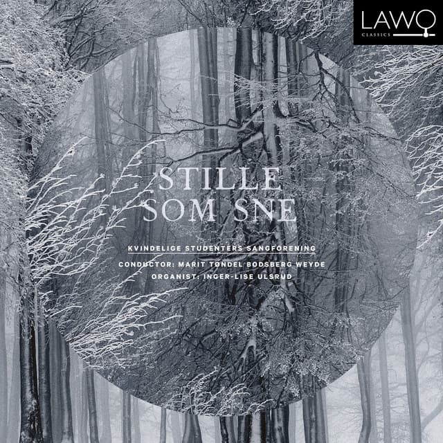 Album cover art for Stille som sne