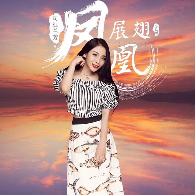 Album cover art for 凤凰展翅
