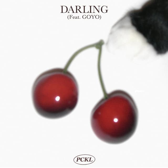 Album cover art for DARLING