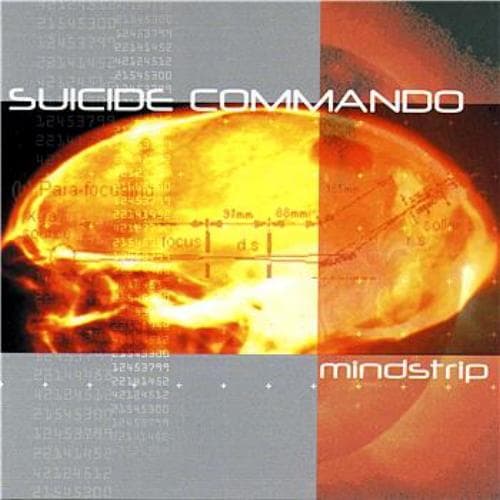 Album cover art for Mindstrip