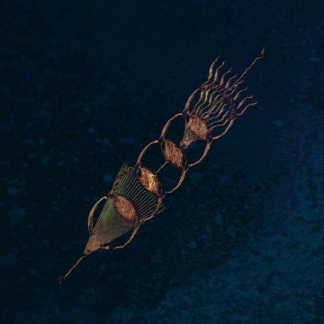 Album cover art for The Baker
