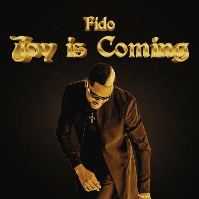 Album cover art for Joy is Coming