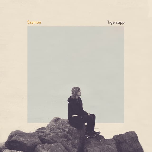 Album cover art for Tigersapp