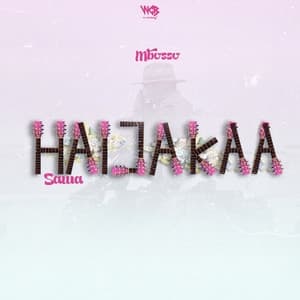 Album cover art for Haijakaa Sawa