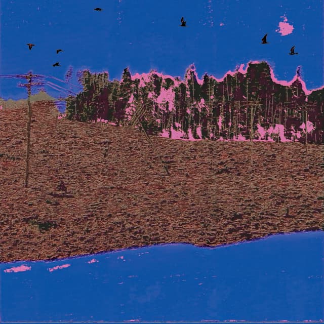 Album cover art for EXIT