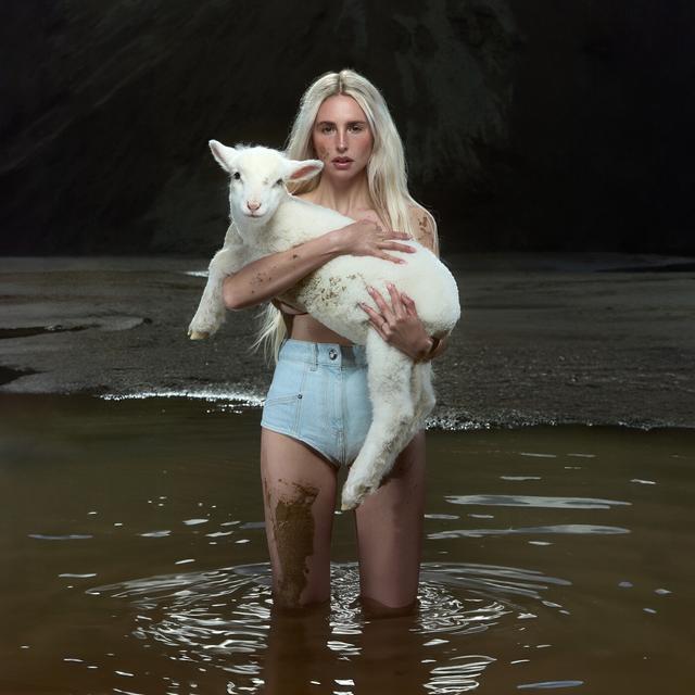 Album cover art for Palpitations