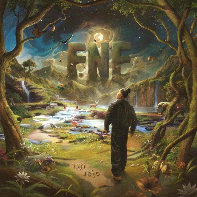 Album cover art for FNF