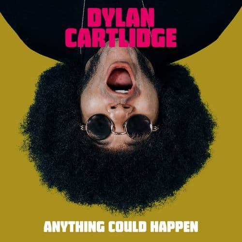 Album cover art for Anything Could Happen