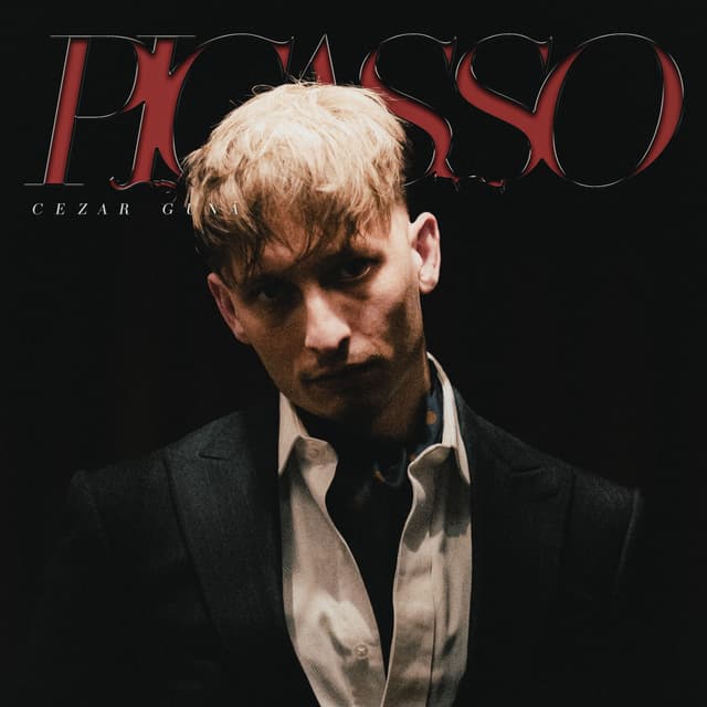 Album cover art for Picasso