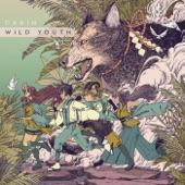 Album cover art for Wild Youth