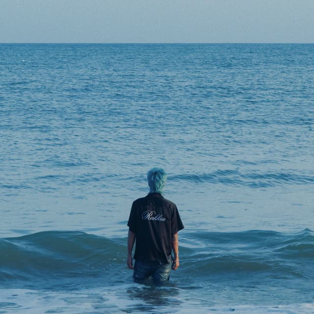 Album cover art for CANVAS