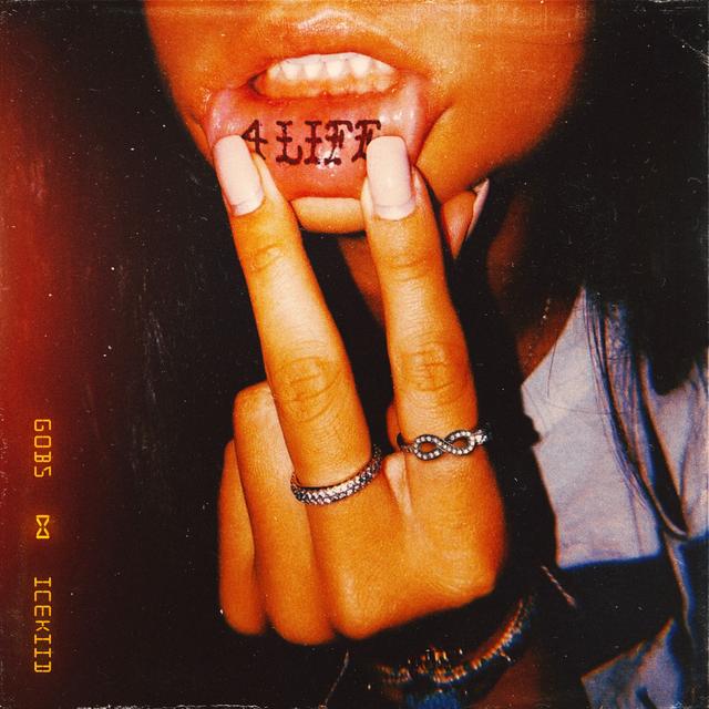 Album cover art for 4 LIFE