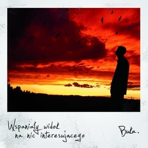 Album cover art for Wspaniały Widok Na Nic Interesującego