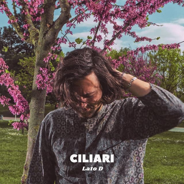 Album cover art for Lato D