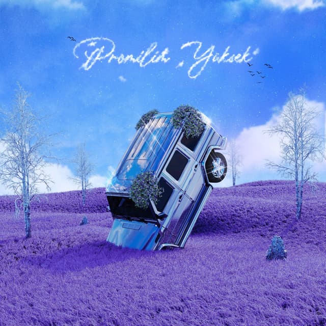 Album cover art for Promilim Yüksek