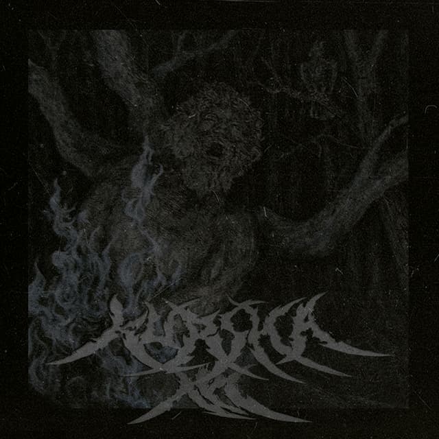 Album cover art for Лес