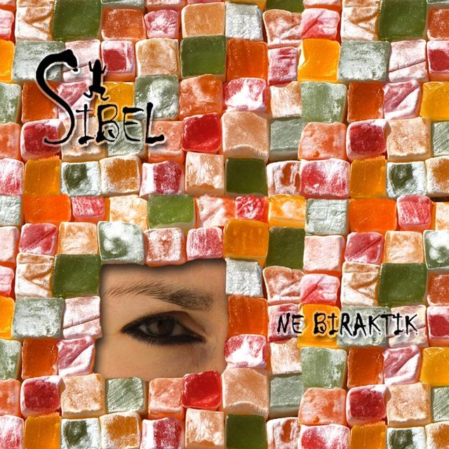 Album cover art for Ne Biraktik