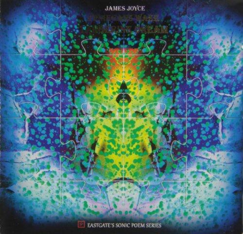 Album cover art for Finnegan's Wake