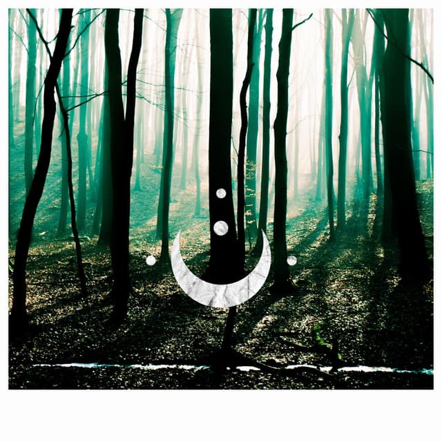 Album cover art for Haunted
