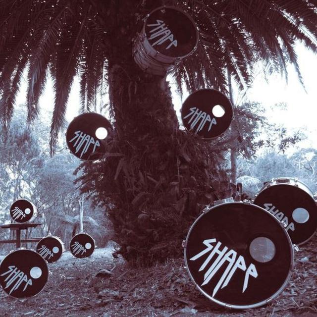 Album cover art for Shape