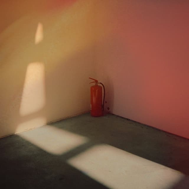 Album cover art for Miss You