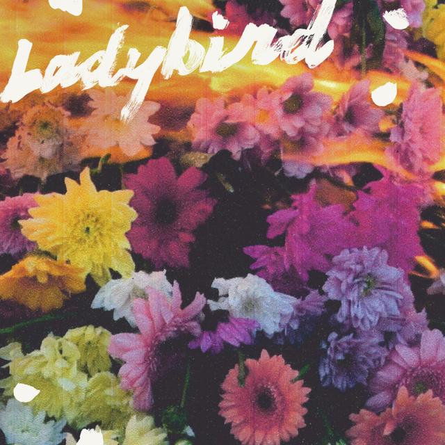 Album cover art for Ladybird