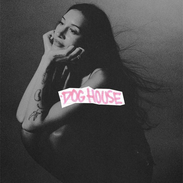 Album cover art for DOG HOUSE