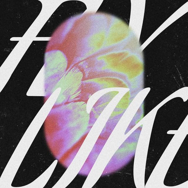 Album cover art for Fly Like