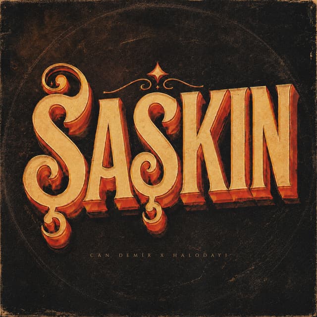 Album cover art for Şaşkın