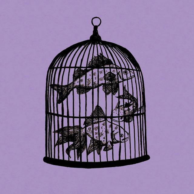 Album cover art for Waterfall