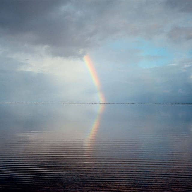 Album cover art for DEAR SALLY
