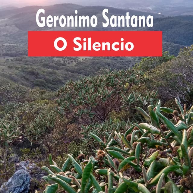 Album cover art for O Silêncio