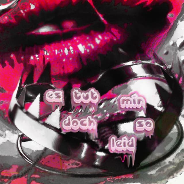 Album cover art for Es tut mir doch so leid