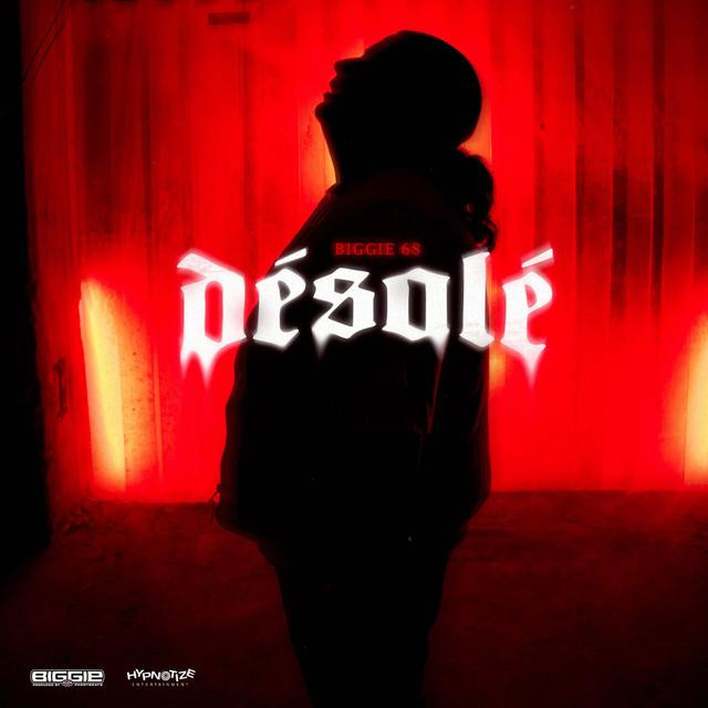 Album cover art for Désolé