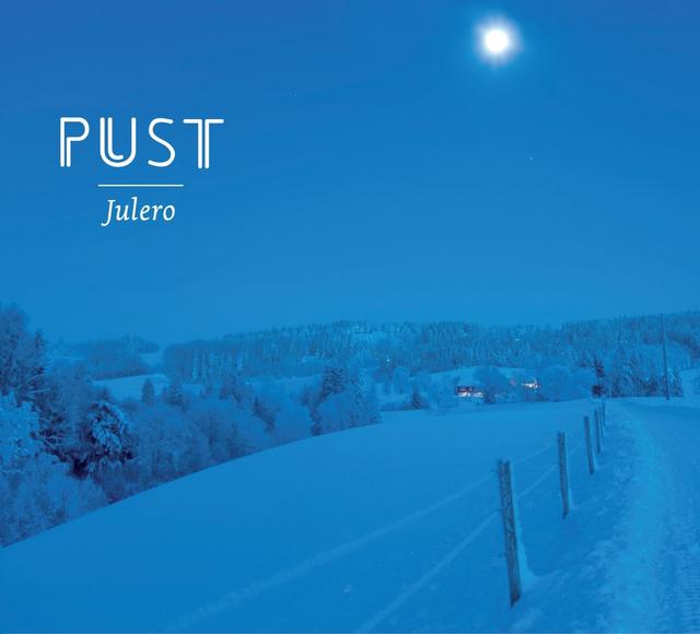 Album cover art for Julero