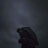 Miasma Sky