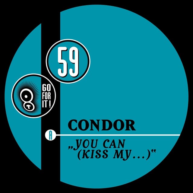 Album cover art for You Can Kiss My ...