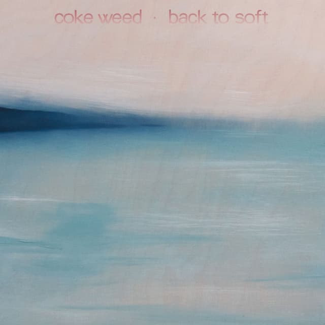 Album cover art for Back To Soft
