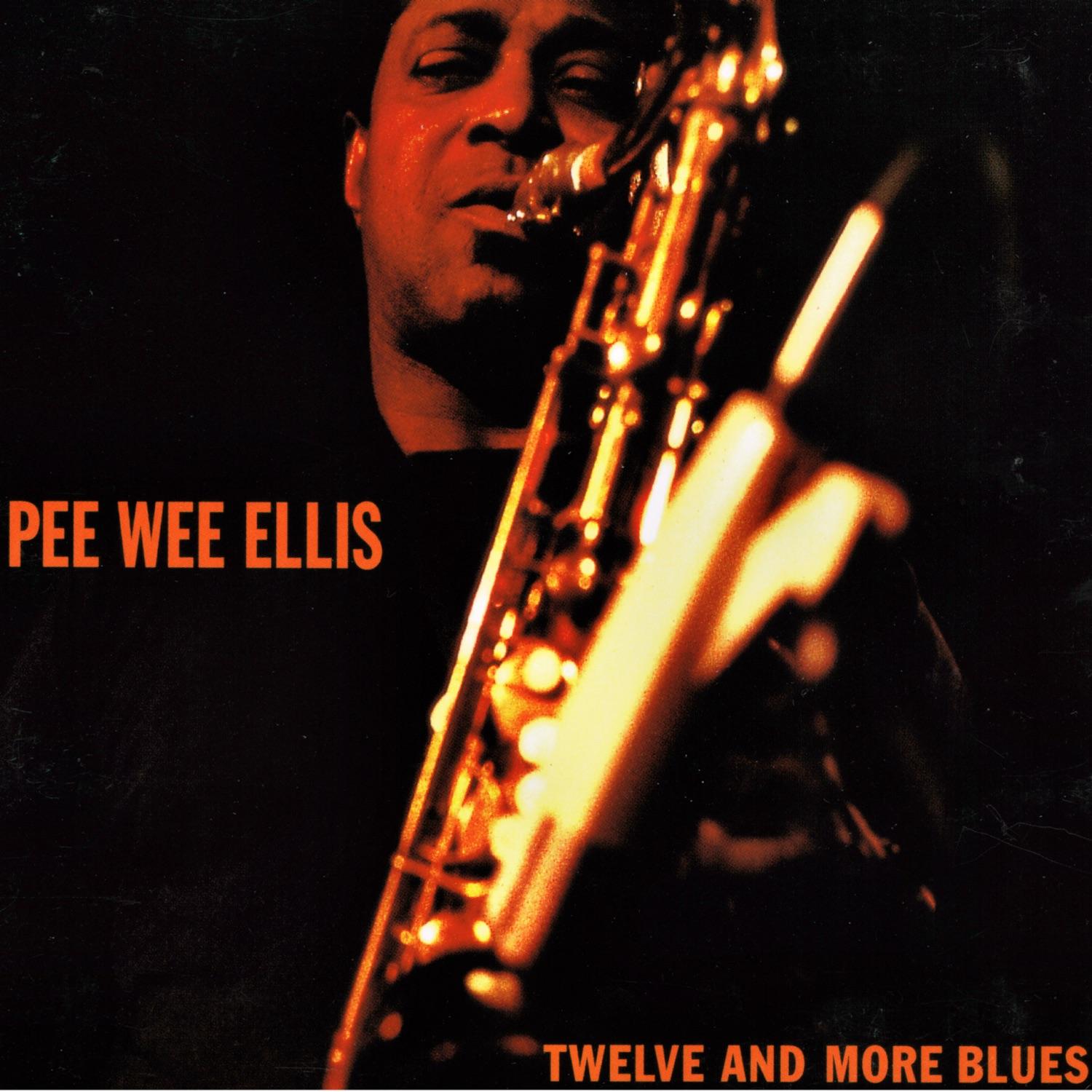 Twelve and More Blues