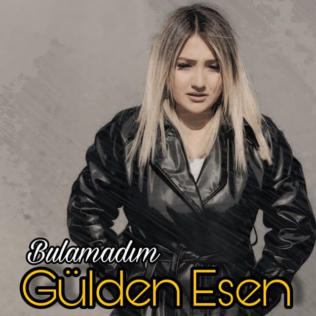 Album cover art for Bulamadım