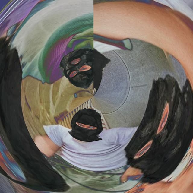 Album cover art for SADECE HANE