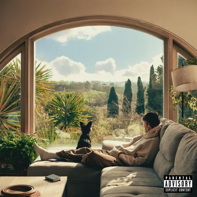 Album cover art for Viscerale