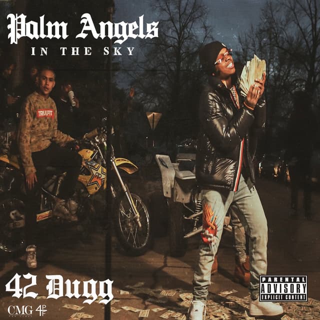 Album cover art for Palm Angels in the Sky