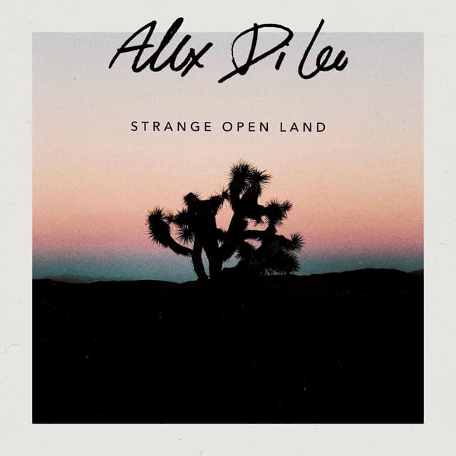 Album cover art for Strange Open Land