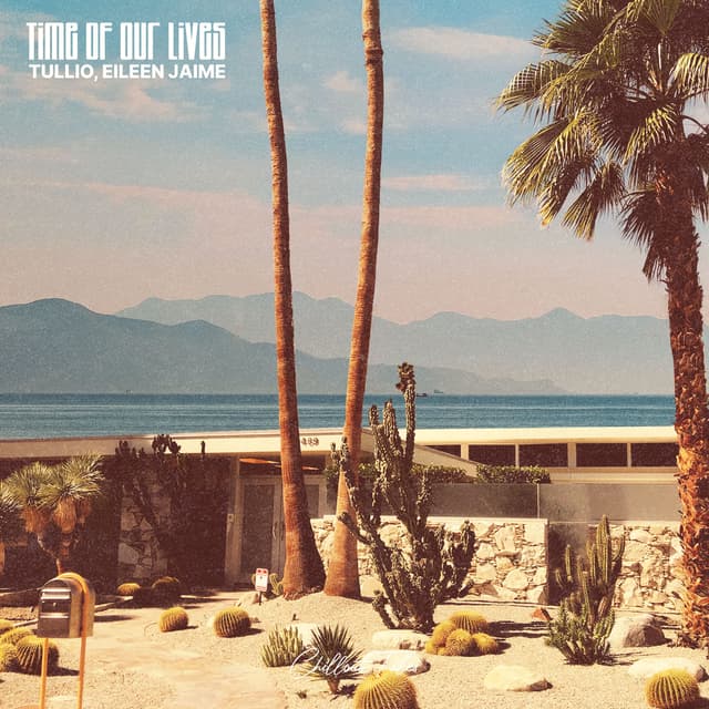 Album cover art for Time Of Our Lives