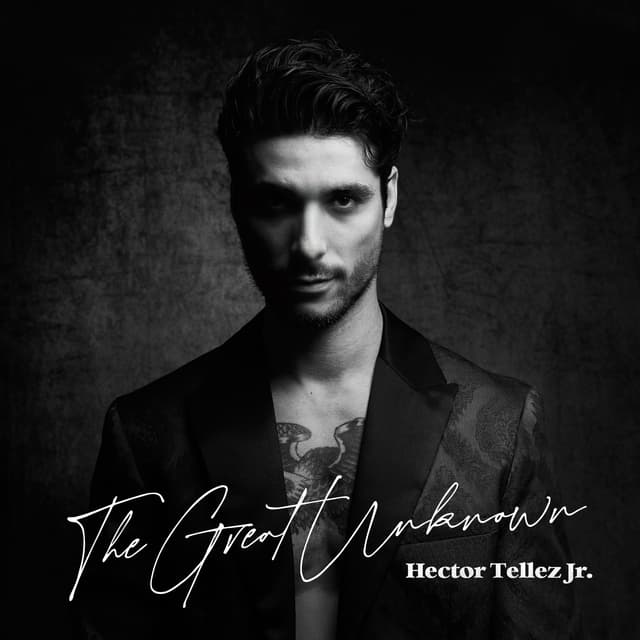 Album cover art for The Great Unknown