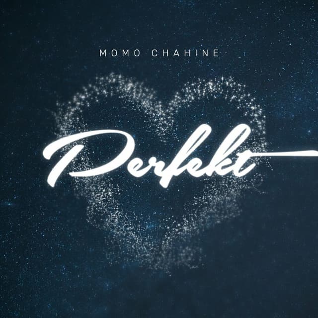 Album cover art for Perfekt