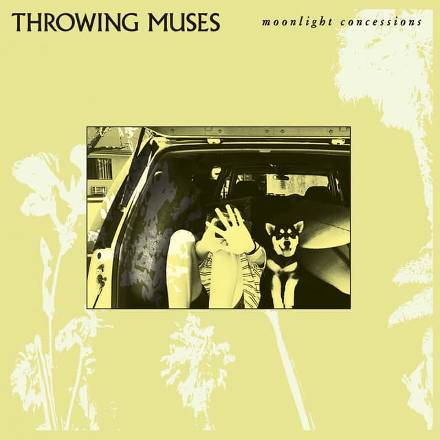 Album cover art for Moonlight Concessions