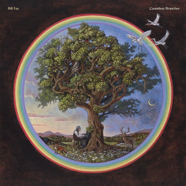 Album cover art for Countless Branches