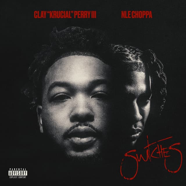 Album cover art for Switches